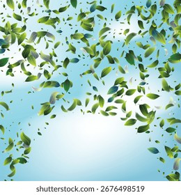 Green Tea Leaves Falling Confetti on Blue Ske Background. Spring Natural Banner Olive Herb Foliage Mockup Poster. Tea Frame. 3d Realistic Mint Plant Illustration. Eco Organic Beauty Product Border.