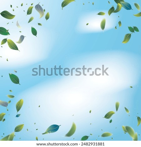 Green Tea Leaves Falling Confetti on Blue Ske Background. Eco Organic Beauty Product Border. 3d Realistic Mint Plant Illustration. Tea Frame. Olive Herb Foliage Mockup Poster. Spring Natural Banner