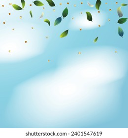 Green Tea Leaves Falling from Corner Confetti on Blue Ske Background. Tea Frame. Eco Organic Beauty Product Border. Olive Herb Foliage Mockup Poster. 3d Mint Plant Illustration. Spring Natural Banner