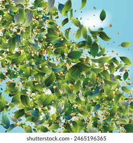 Green Tea Leaves Falling from Corner Confetti on Blue Ske Background. Spring Natural Banner Eco Organic Beauty Product Border. Tea Frame. Olive Herb Foliage Mockup Poster. 3d Mint Plant Illustration.