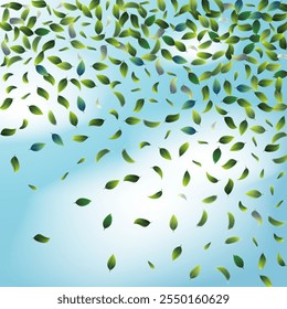 Green Tea Leaves Falling from Corner Confetti on Blue Ske Background. Tea Frame. 3d Mint Plant Illustration. Spring Natural Banner Olive Herb Foliage Mockup Poster. Eco Organic Beauty Product Border.