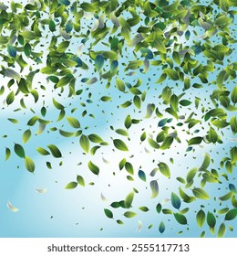 Green Tea Leaves Falling from Corner Confetti on Blue Ske Background. Tea Frame. Eco Organic Beauty Product Border. Spring Natural Banner Olive Herb Foliage Mockup Poster. 3d Mint Plant Illustration.