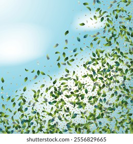 Green Tea Leaves Falling from Corner Confetti on Blue Ske Background. Olive Herb Foliage Mockup Poster. Spring Natural Banner 3d Mint Plant Illustration. Tea Frame. Eco Organic Beauty Product Border.