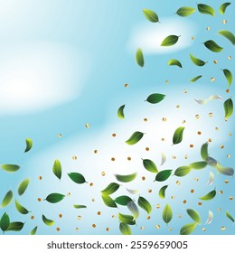 Green Tea Leaves Falling from Corner Confetti on Blue Ske Background. Spring Natural Banner 3d Mint Plant Illustration. Olive Herb Foliage Mockup Poster. Eco Organic Beauty Product Border. Tea Frame.