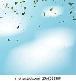 Green Tea Leaves Falling from Corner Confetti on Blue Ske Background. Olive Herb Foliage Mockup Poster. Tea Frame. Eco Organic Beauty Product Border. 3d Mint Plant Illustration. Spring Natural Banner