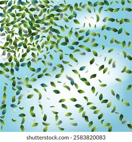 Green Tea Leaves Falling from Corner Confetti on Blue Ske Background. Tea Frame. Eco Organic Beauty Product Border. Spring Natural Banner Olive Herb Foliage Mockup Poster. 3d Mint Plant Illustration.