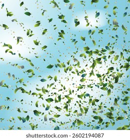 Green Tea Leaves Falling from Corner Confetti on Blue Ske Background. Spring Natural Banner Tea Frame. Olive Herb Foliage Mockup Poster. 3d Mint Plant Illustration. Eco Organic Beauty Product Border.