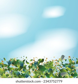Green Tea Leaves Falling Down on Blue Ske Background. Olive Herb Foliage. Eco Organic Beauty Product Placeholder. 3d Realistic Mint Plant Illustration. Tea Emblem. Spring Natural Banner