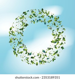 Green Tea Leaves Falling from Top on Blue Ske Background. Spring Natural Banner Olive Herb Foliage. 3d Realistic Mint Plant Illustration. Eco Organic Beauty Product Placeholder. Tea Emblem.