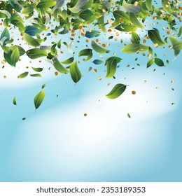 Green Tea Leaves Falling from Top on Blue Ske Background. Spring Natural Banner Olive Herb Foliage. 3d Realistic Mint Plant Illustration. Eco Organic Beauty Product Placeholder. Tea Emblem.