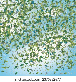 Green Tea Leaves Falling from Top on Blue Ske Background. Eco Organic Beauty Product Placeholder. Olive Herb Foliage. 3d Realistic Mint Plant Illustration. Tea Emblem. Spring Natural Banner