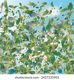 Green Tea Leaves Falling from Top on Blue Ske Background. 3d Realistic Mint Plant Illustration. Tea Emblem. Spring Natural Banner Olive Herb Foliage. Eco Organic Beauty Product Placeholder.