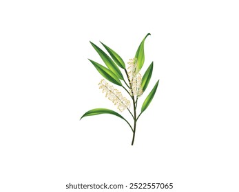 Green Tea Leaves Flat Illustration
Green Tea Leaves Vector Illustration – Flat Design for Herbal, Culinary, and Natural Projects – Perfect for Tea Packaging, Botanical Graphics, and Organic Themes
