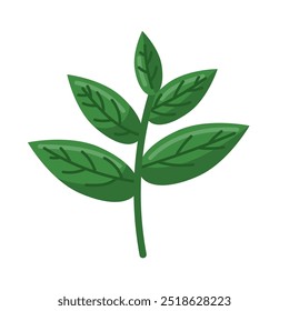 Green tea leaves flat vector illustration, tea leaf icon symbol, plant branch with green leaves clip art