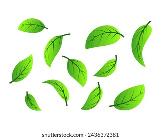 Green tea leaves flying in the air