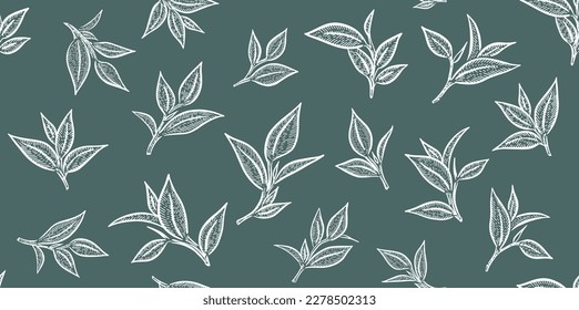 Green tea leaves. Hand drawn, vector.	