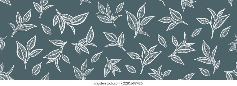 Green tea leaves. Hand drawn, vector.