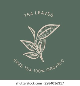 Green tea leaves. Hand drawn, vector.	