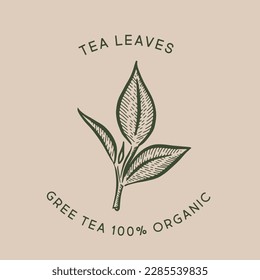 Green tea leaves. Hand drawn, vector.	