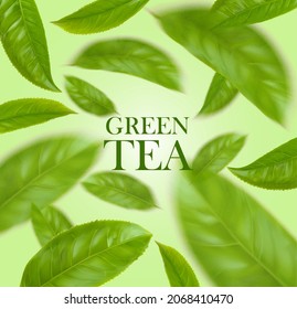 Green tea leaves herbal background, realistic vector. Green tea leaf flying on background for natural herbal drink package for match or mate tea, healthy organic food and skincare cosmetics