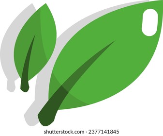 Green tea leaves, illustration or icon, vector on white background.