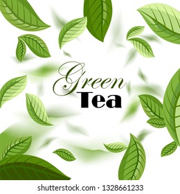 green tea. green tea leaves. label. vector illustration