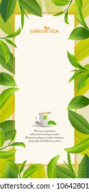 Green tea leaves manu and postcard vector nature background, natural cosmetics and health care products, With place for text, with leaf natural illustration.
