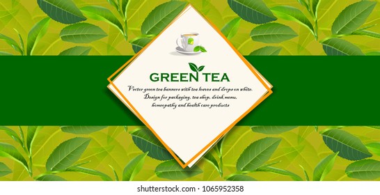 Green tea leaves manu and postcard vector nature background, natural cosmetics and health care products, With place for text, with leaf natural illustration.