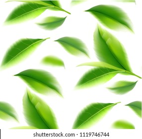  Green tea leaves manu and postcard vector nature background, natural cosmetics and health care products, green tea motion brochure, banner, poster, vector illustration.