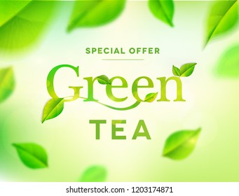 Green tea leaves on nature background. Green tea typo with leaves.