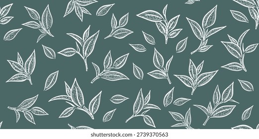 Green tea leaves pattern. Hand drawn