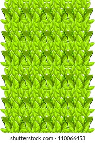 green tea leaves, seamless environment Wallpaper