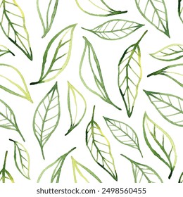 Green tea leaves seamless pattern. Vector foliage illustration with watercolor texture. Delicate hand drawn repeating background for textiles, invitations and prints