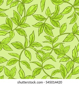 green tea leaves seamless pattern on color background