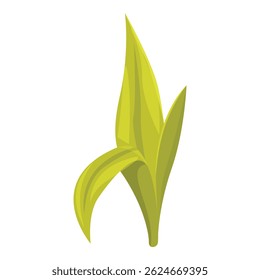 Green tea leaves are sprouting from the stem of the plant