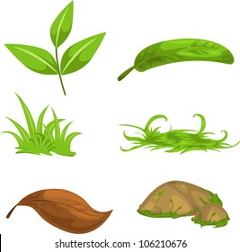 Green tea leaves and stone and grass isolated vector illustration