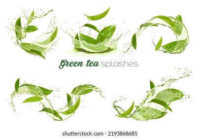 Green tea leaves swirls and splashes, transparent background. Vector 3d organic herbal foliage in water splatters, fresh drink aqua flow. Isolated plant leaves, natural aroma beverage