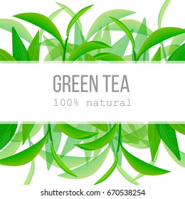 Green tea leaves and twig label with text 100 percent natural. Horizontal. fruits above and below. Concept idea for logo, tag, banner, advertising, prints, poster, restaurant, wrapping, health product
