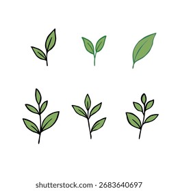 Hojas de té verde Ilustración vectorial. Diseño Botánico de Hoja de Té Mínimo. Vector de contorno de hojas de retoño de té. Colección de hojas de té de hierbas frescas. fondo de patrón de Vector de hojas verdes. 
