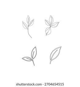 Hojas de té verde Ilustración vectorial. Diseño Botánico de Hoja de Té Mínimo. Vector de contorno de hojas de retoño de té. Colección de hojas de té de hierbas frescas.