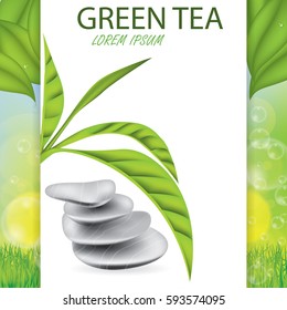 Green tea leaves vector illustration brochure template
