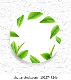 Green tea leaves vector nature background. Green tea background with leaf natural illustration.