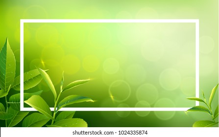 Green tea leaves vector nature background. Green tea seamless background with leaf natural illustration.