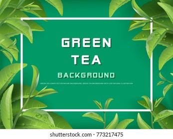 Green tea leaves vector nature background. Green tea background with leaf natural illustration.