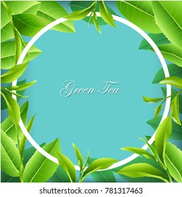 Green tea leaves vector nature background. Green tea background with leaf natural illustration.