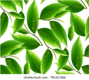 Green tea leaves vector nature background. Green tea seamless background with leaf natural illustration.