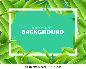 Green tea leaves vector nature background. Green tea background with leaf natural illustration.