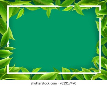 Green tea leaves vector nature background. Green tea seamless background with leaf natural illustration.