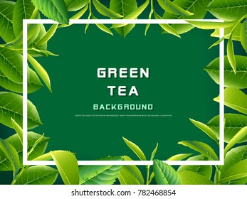 Green tea leaves vector nature background. Green tea background with leaf natural illustration.