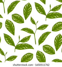 Green tea leaves. Vector repeated seamless pattern